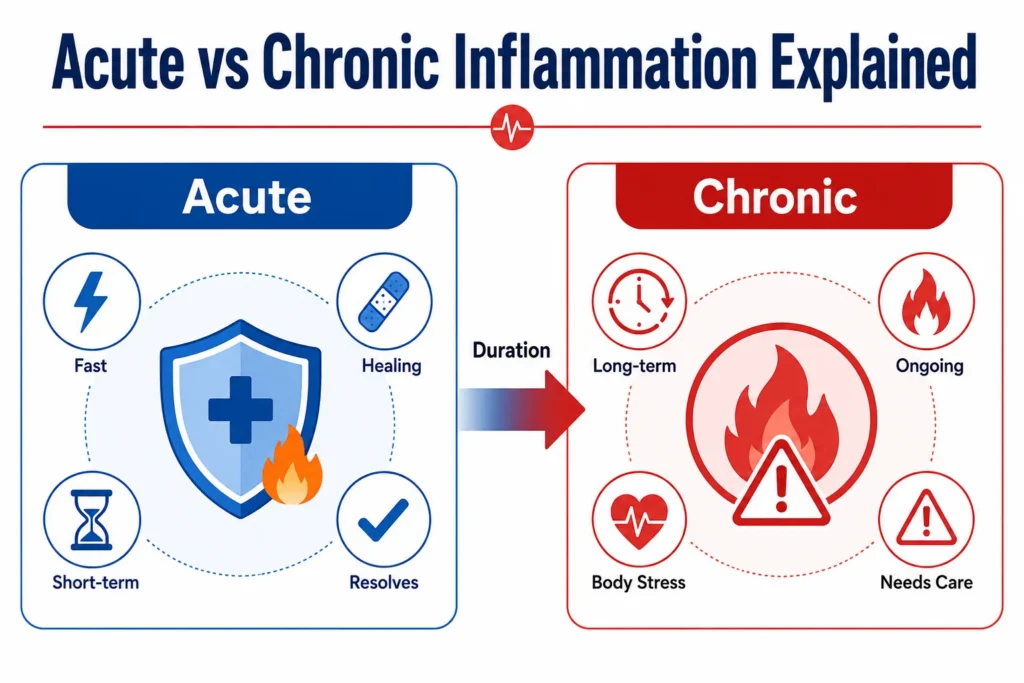Acute vs Chronic Inflammation Explained